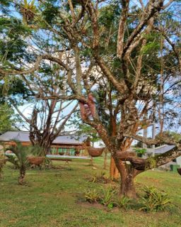 Lote no Condomínio Ipês de Aldeia  com 600m