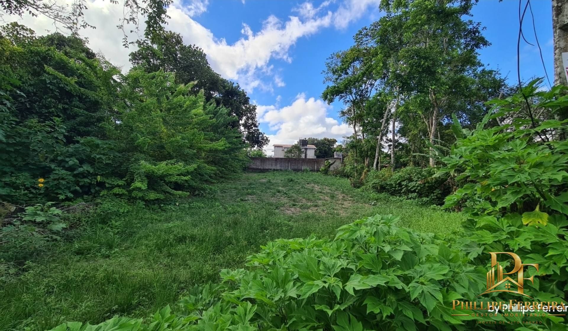 Terreno, 1000 m² - Foto 4