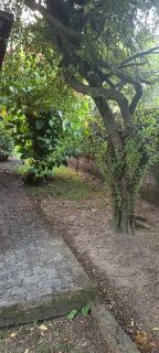 Casa em Aldeia 4 Quartos 2 Suítes 180m²