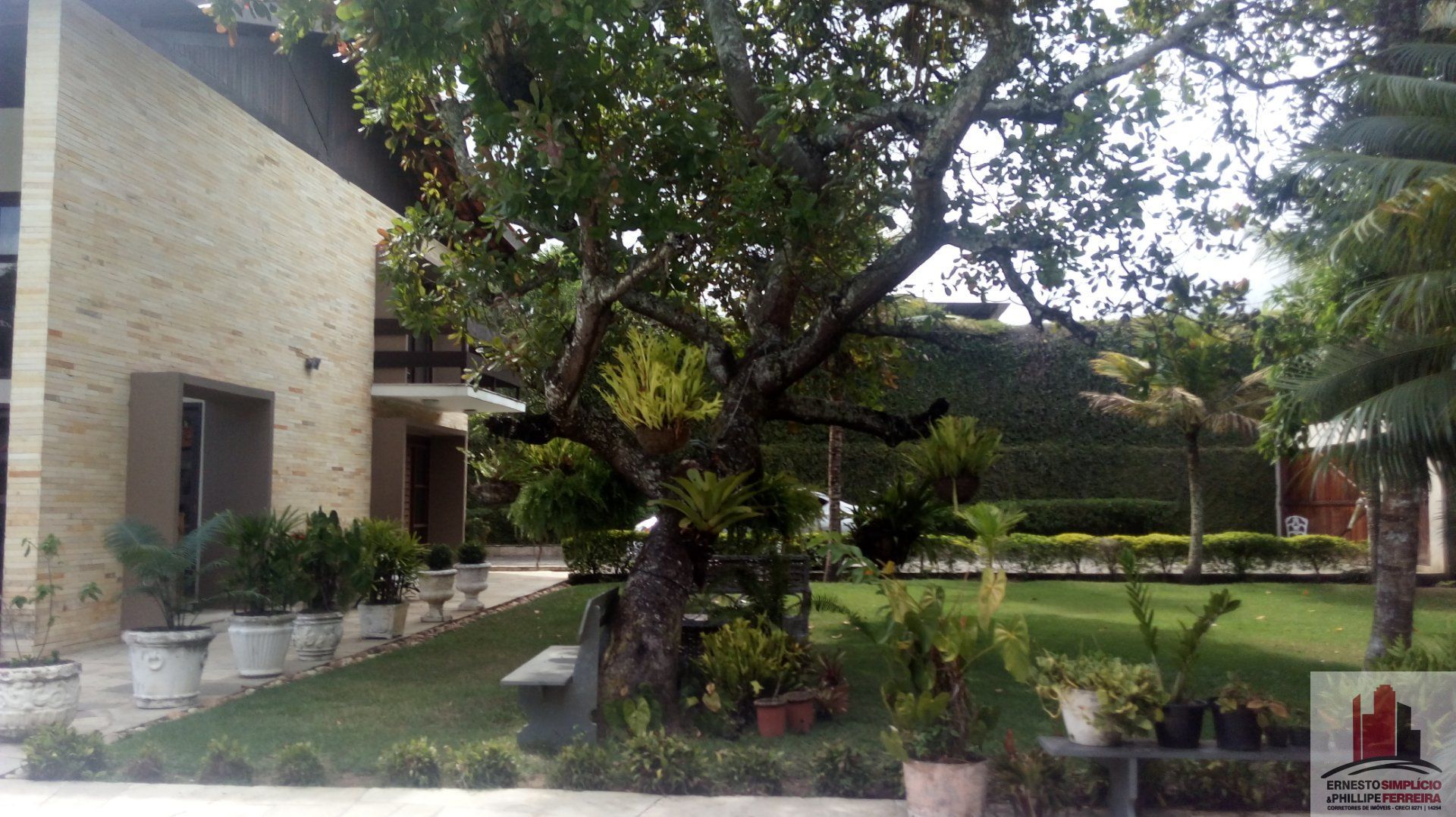 Chácara, 6 quartos, 3000 m² - Foto 4