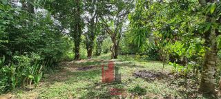 Aldeia - Chácara em Aldeia com 3 Hectares 2 Casas