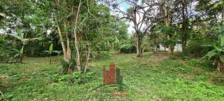 Aldeia - Chácara em Aldeia com 3 Hectares 2 Casas