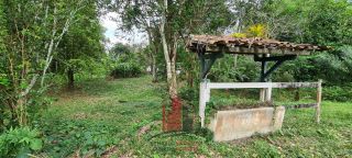 Aldeia - Chácara em Aldeia com 3 Hectares 2 Casas