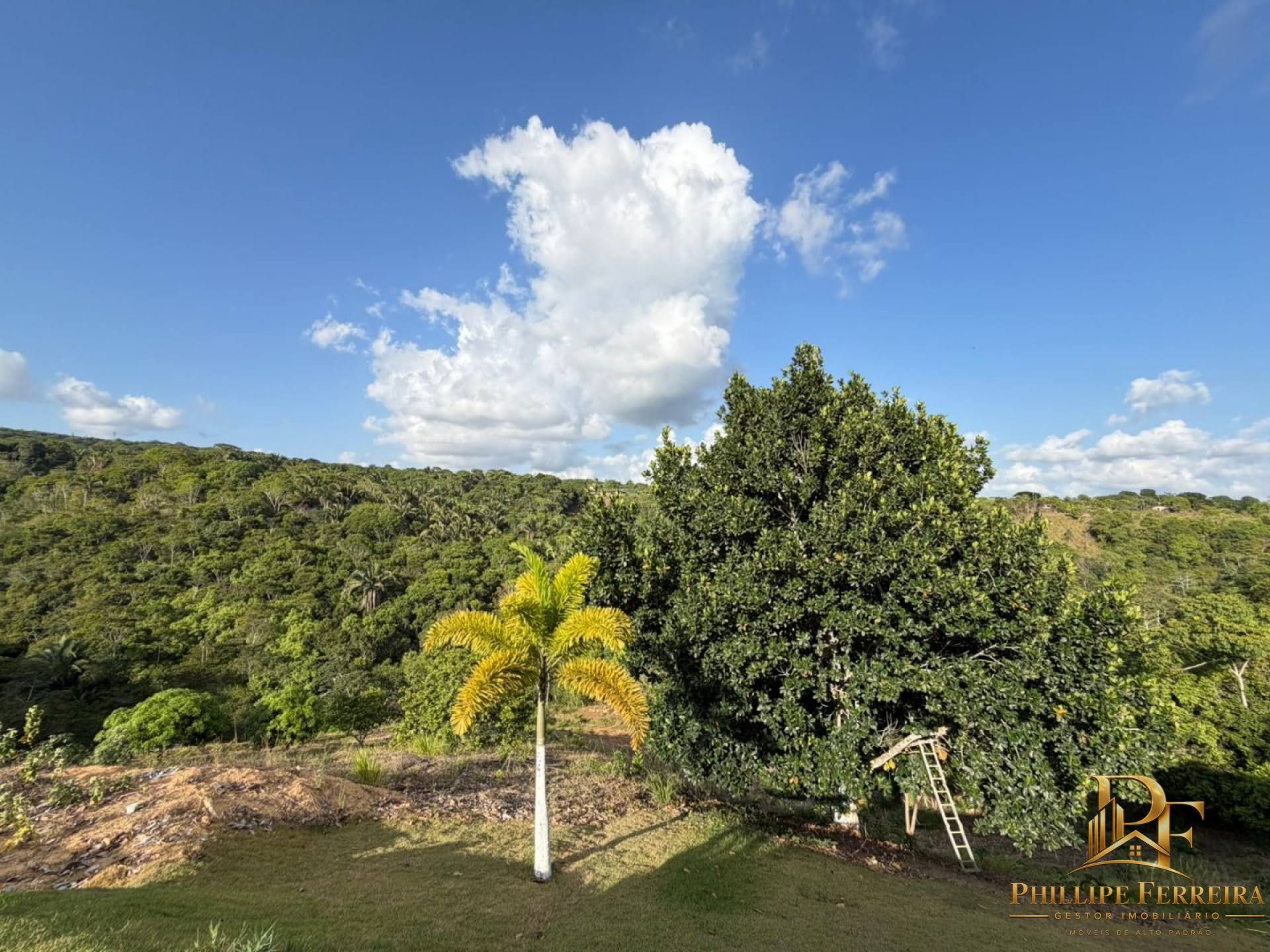 Chácara, 5 quartos, 3 hectares - Foto 61