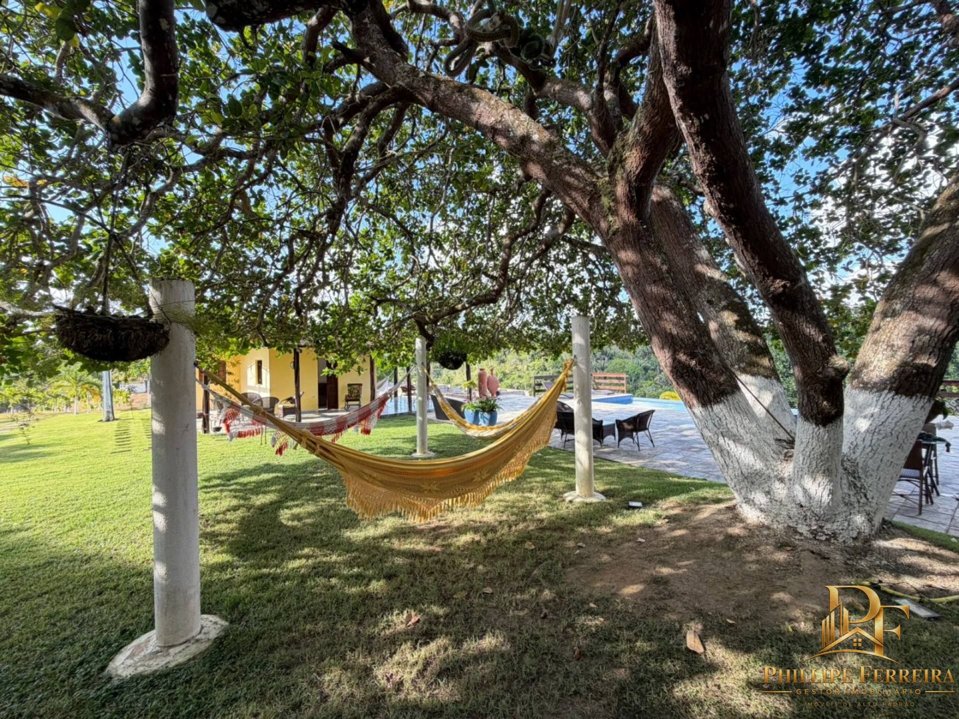 Chácara, 5 quartos, 3 hectares - Foto 62