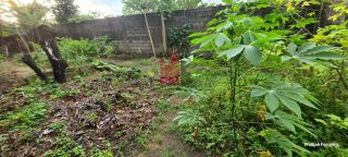 Chácara em Aldeia no Km 12 com 5000m²