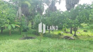 Sítio Estrada das Sete Ladeiras - Taboca - Teresina - PI