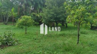 Sítio Estrada das Sete Ladeiras - Taboca - Teresina - PI