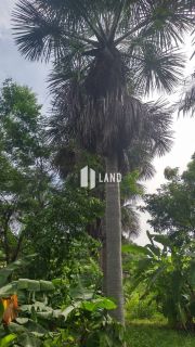 Sítio Estrada das Sete Ladeiras - Taboca - Teresina - PI