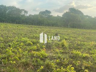 Fazenda a 32 Km do Posto Fiscal de Timon - MA