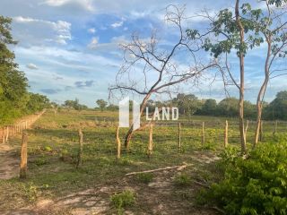 Fazenda a 32 Km do Posto Fiscal de Timon - MA