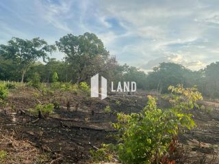 Fazenda a 32 Km do Posto Fiscal de Timon - MA
