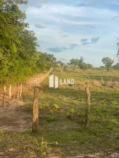 Fazenda a 32 Km do Posto Fiscal de Timon - MA