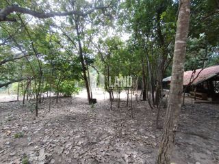 Propriedade à venda: Porteira Fechada na Zona Rural de Timon