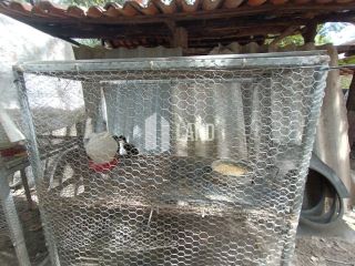Propriedade à venda: Porteira Fechada na Zona Rural de Timon