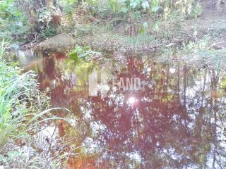 Sítio Para Vender com 4 quartos 2 suítes no bairro Povoado Itaguara em Timon