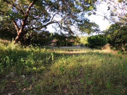 Chácara Para Vender com 2 quartos 1 suítes e 2 hectares em Lagoa Do Piauí