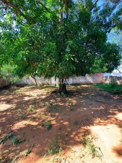 Lote / Terreno de Bairro Para Vender no bairro Morros em Teresina