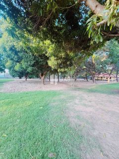	Sítio completo à venda em Teresina (Rodoanel) – porteira fechada, acesso pavimentado e localização tranquila