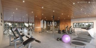 LOTE QUITADO NA ÁREA ALTA DO CAMPO ALTO DA MONTENEGRO URBANISMO