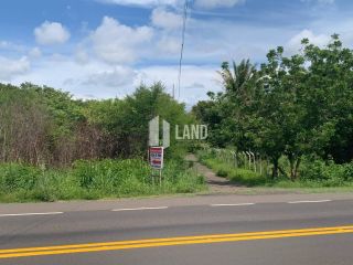 Oportunidade Única de Investimento: Área de 2,5 Hectares na Região da Usina Santana!