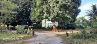 SITIO COM BELA LAGOA