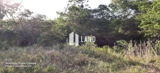 SITIO COM BELA LAGOA