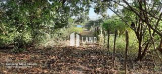 SITIO COM BELA LAGOA