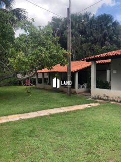 Sítio Br 316 - Timon X Caxias