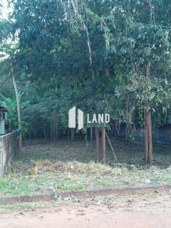 Lote no Fazenda Real