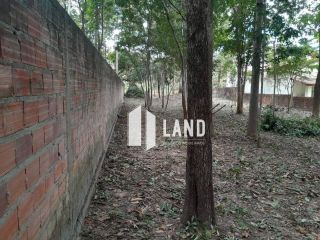 Lote no Fazenda Real