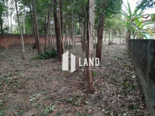 Lote no Fazenda Real