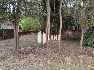 Lote no Fazenda Real