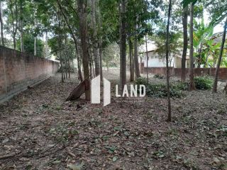 Lote no Fazenda Real