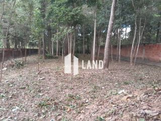 Lote no Fazenda Real