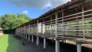 Fazenda em José de Freitas - PI