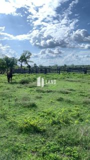 Fazenda em José de Freitas - PI
