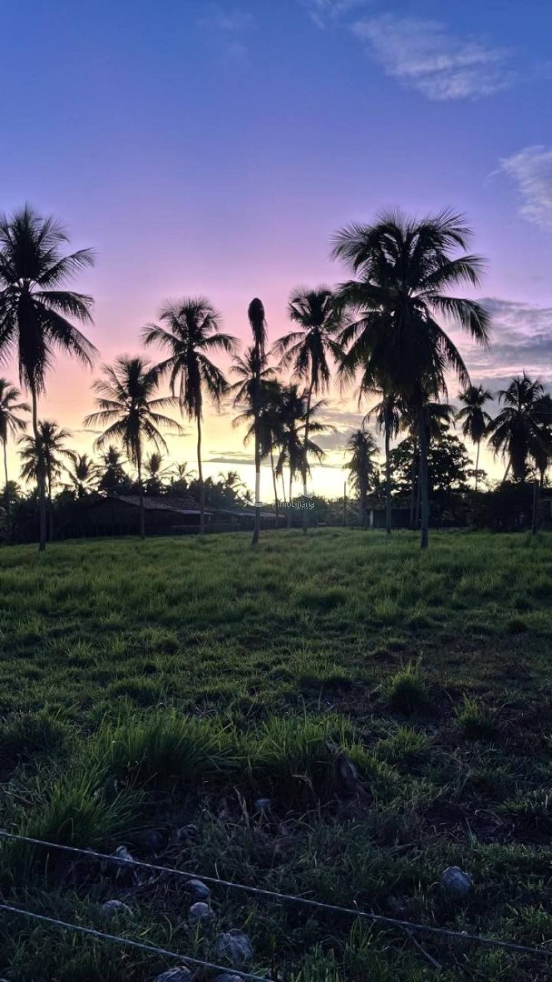 Fazenda à Venda em Estância/SE