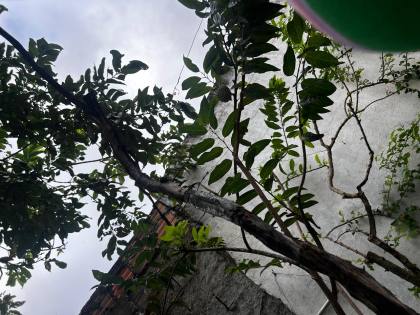 Casa À Venda  No Condomínio Doce Vida Parque