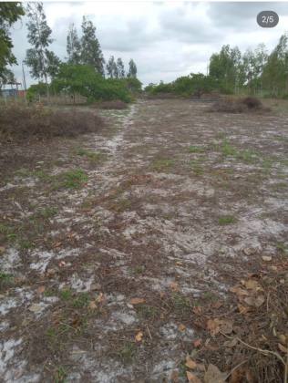 Lote à Venda no Loteamento Angelim – 1.500 m²