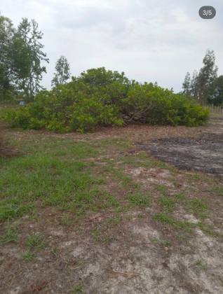Lote à Venda no Loteamento Angelim – 1.500 m²