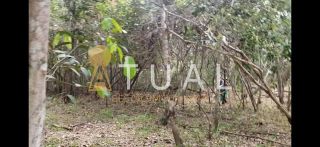 Terreno de 2.025m² na Reserva da Sapiranga