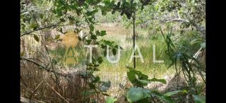 Terreno de 2.025m² na Reserva da Sapiranga