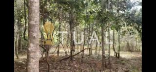 Terreno de 2.025m² na Reserva da Sapiranga