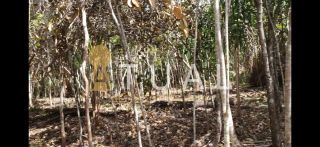 Terreno de 2.025m² na Reserva da Sapiranga