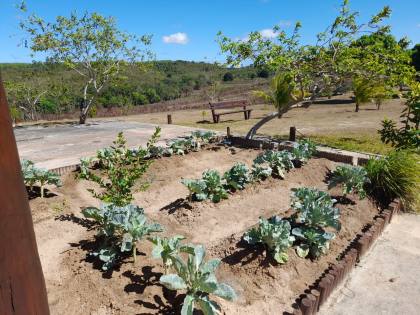 Fazenda em Mata de São João