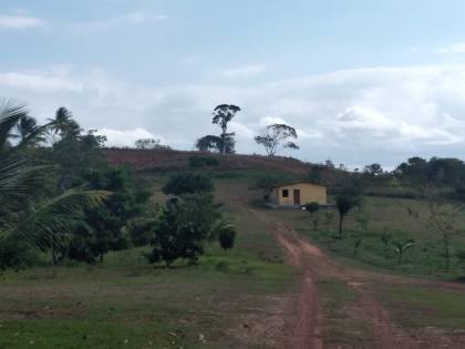 Fazenda em Mata de São João