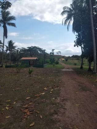 Fazenda em Mata de São João