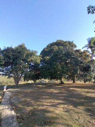 Fazenda em Mata de São João