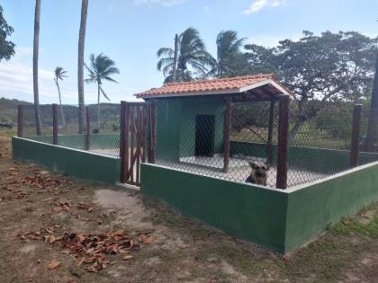 Fazenda em Mata de São João